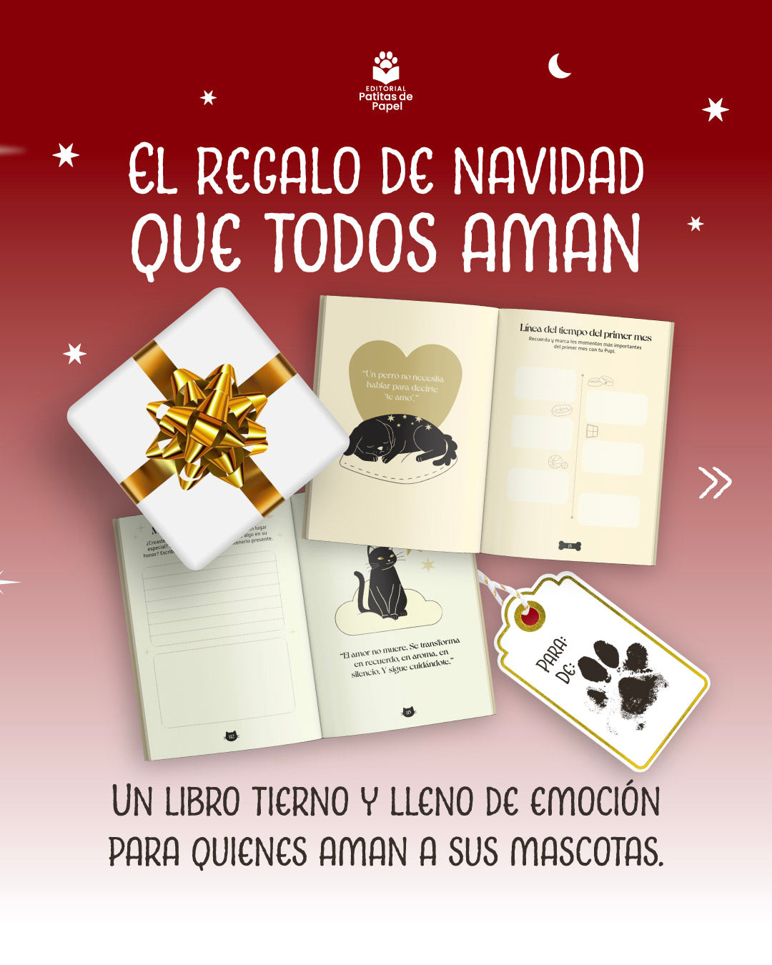 Pack libro Michi + Libro Pupi