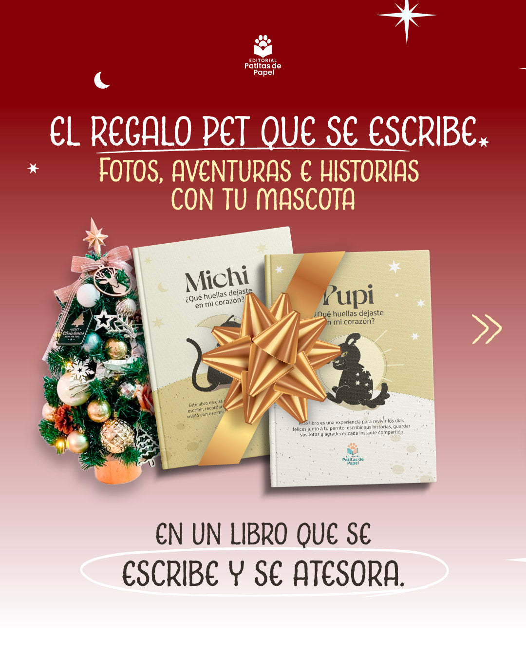 Pack libro Michi + Libro Pupi